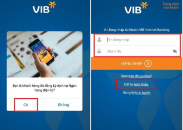 Cách lấy lại mật khẩu ngân hàng VIB trên app MyVIB