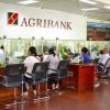 Cách hủy thanh toán tiền điện qua ngân hàng Agribank 2024